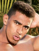 Renzo-Araujo Capa